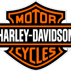 Harley-Davidson Harness
